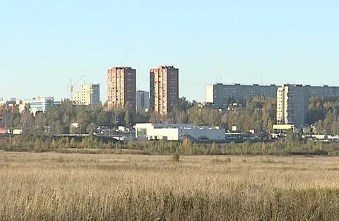 Новоселки ярославль