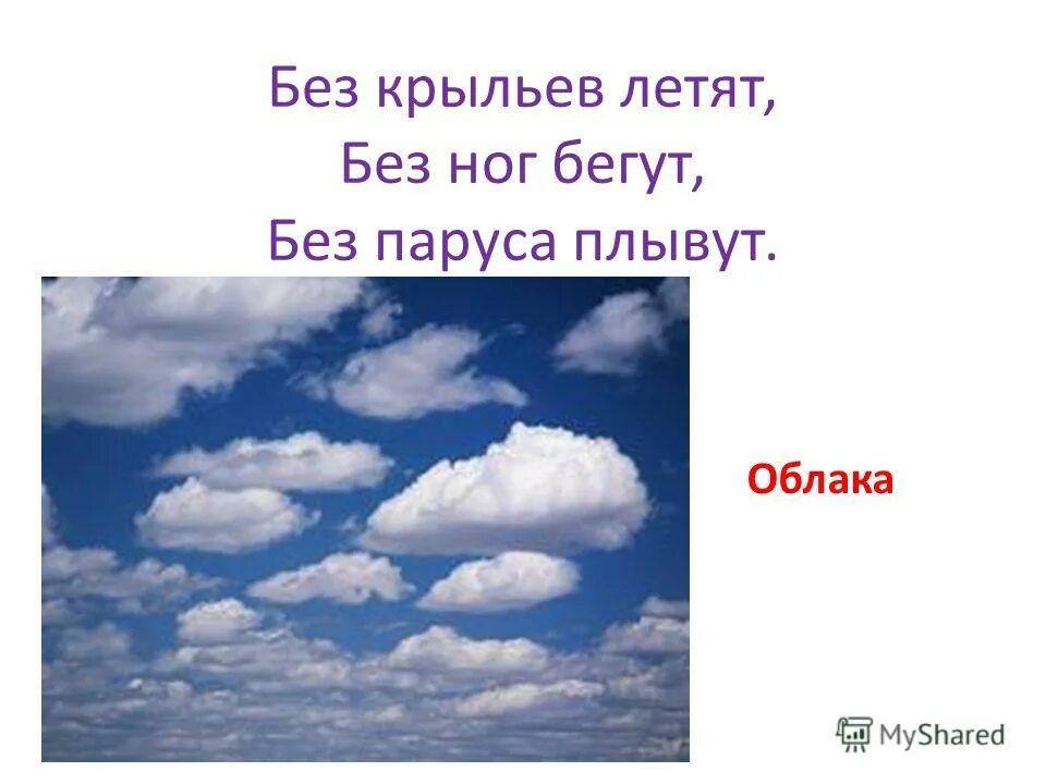 Летает без крыльев плачет без глаз ответ на загадку. Без ног и без крыльев оно быстро летит не догонишь. Загадки для детей на тему время. Без крыльев летает без ног бегает без паруса плывет. Загадка про скорость.