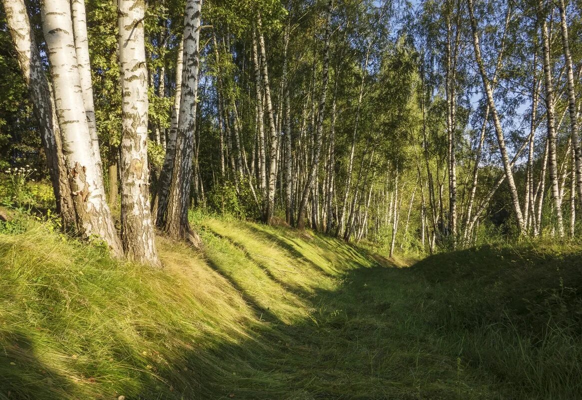 Сивиньские овраги мордовия. Парамоновский овраг дмитровский. Весенний овраг. Повсюду по овражкам. Грамматическое задание.
