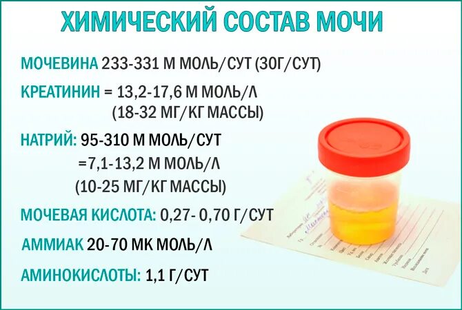 Моча простата. Химическая формула мочи. моча состав химический биохимия. моча химическая формула. состав человеческой мочи.