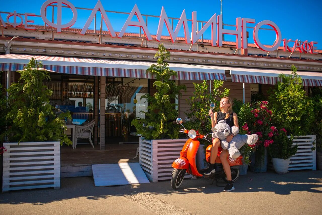 Московский зоопарк фламинго. Фламинго набрань. Московский зоопарк фламинго. Тц фламинго мурманск. Фламинго в зоопарке.