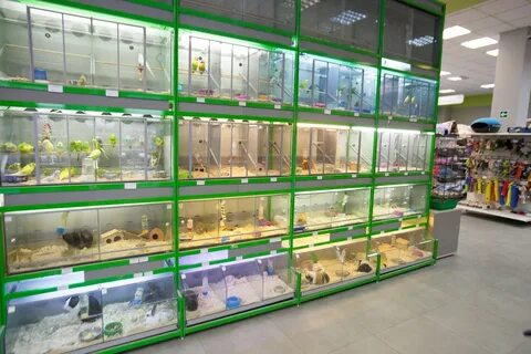 Самый большой зоомагазин