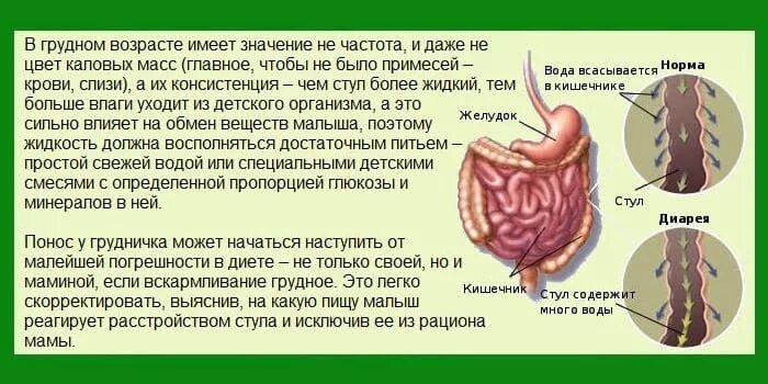 Стул водой температура. Каловые массы в организме. Нормальный цвет каловых масс. Нормальная окраска каловых масс.