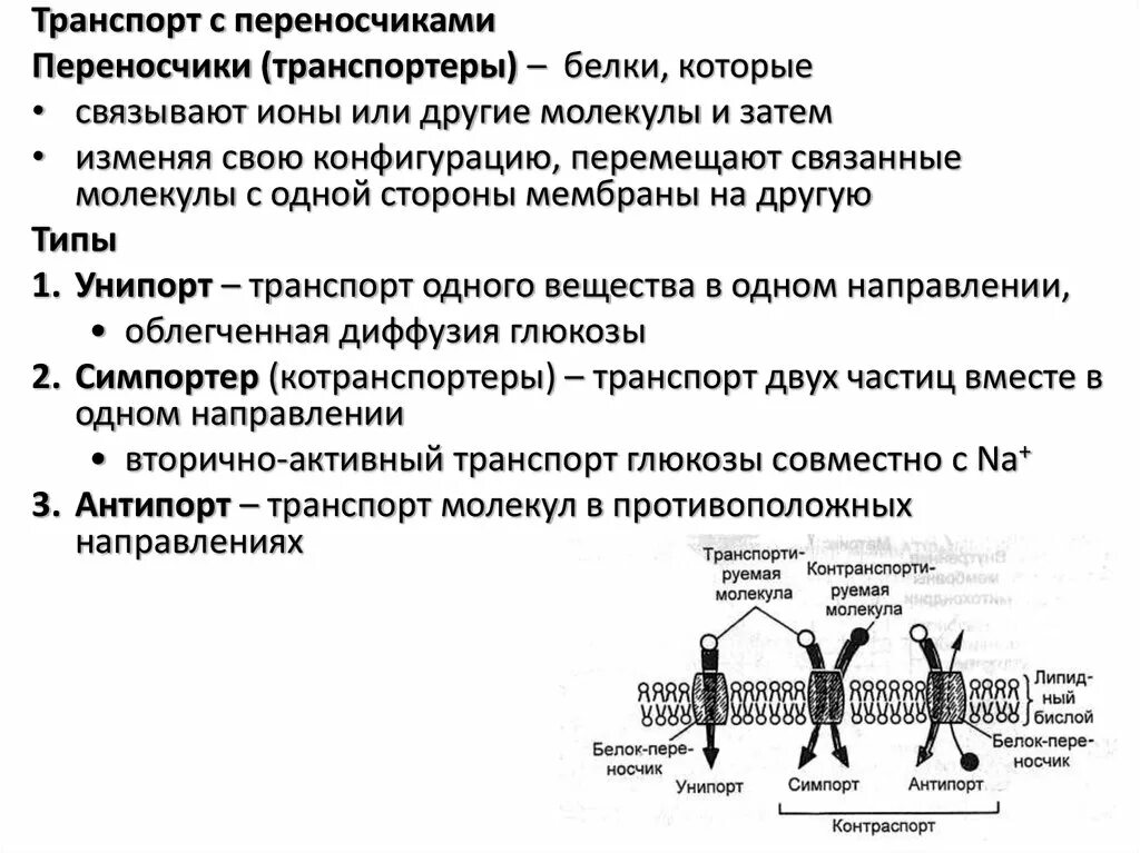 Виды белков переносчиков. Белки переносчики. Активный и пассивный трансмембранный транспорт. Белки переносчики. Типы трансмембранного транспорта.