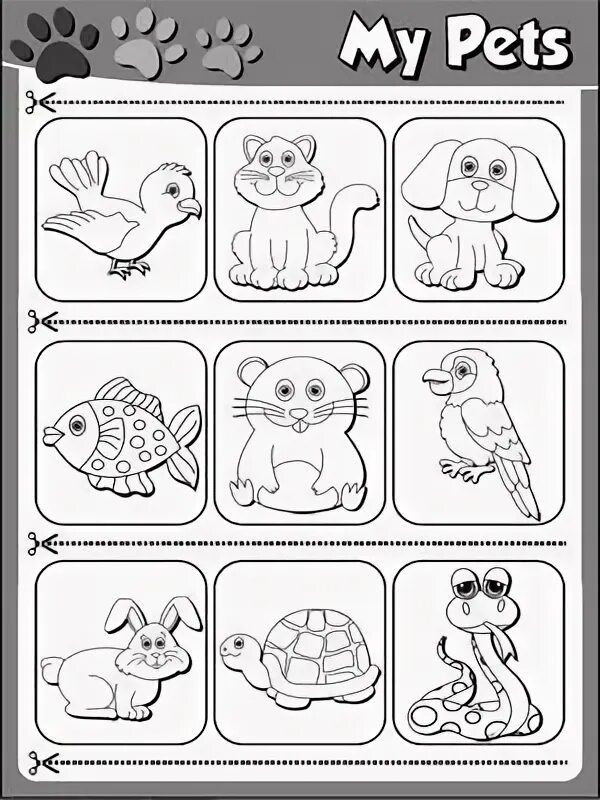 Theme of the lesson: my pets! sayd. Английский для малышей my pet. Pets задания на английском. Pets задания на английском. Лексика по теме my pet.