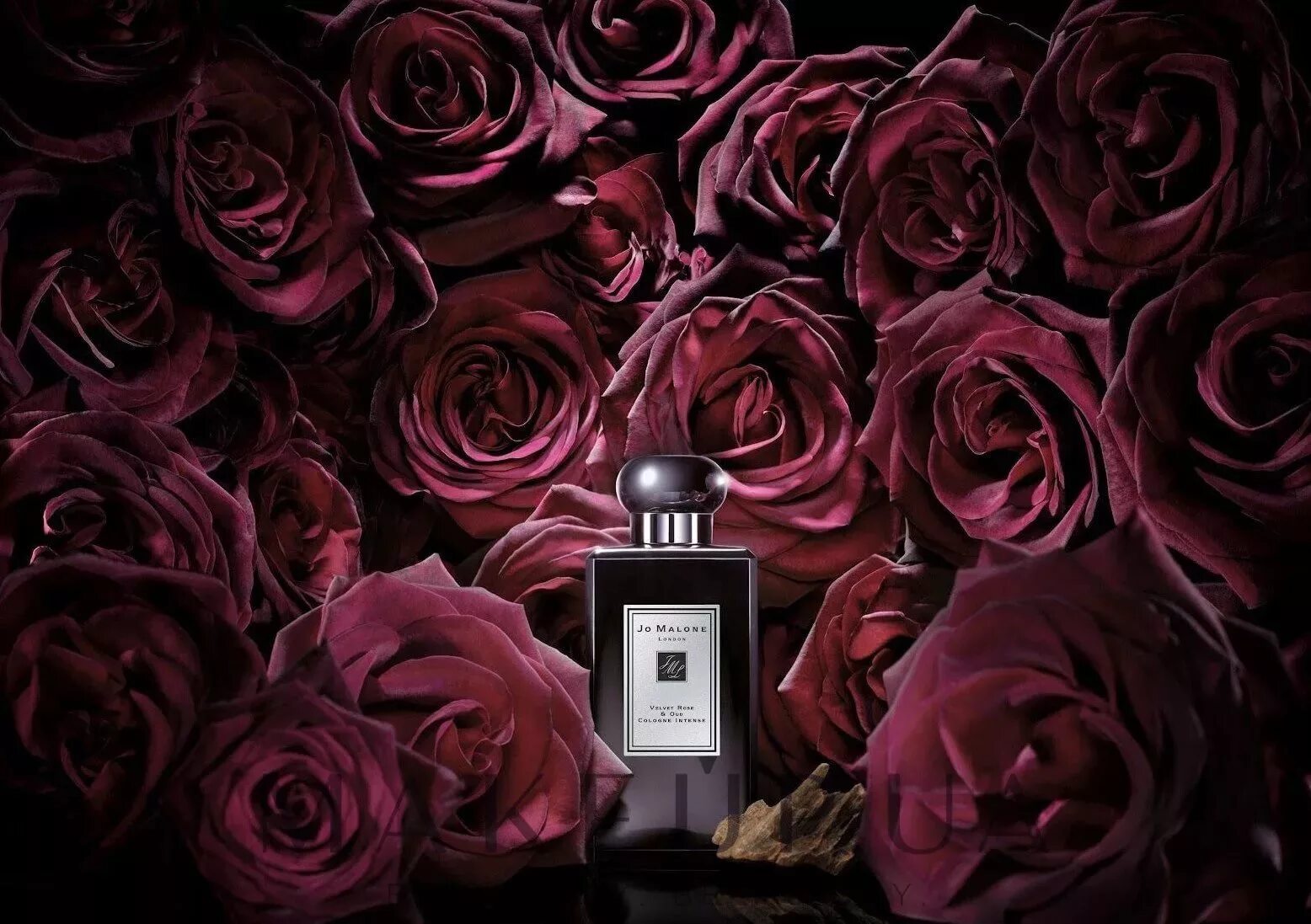 Духи красно черный флакон. Красная роза туалетная вода от аппле. Парфюм красный флакон с цветком. Парфюмерная вода lancome roses berberanza. Аромат красной розы.