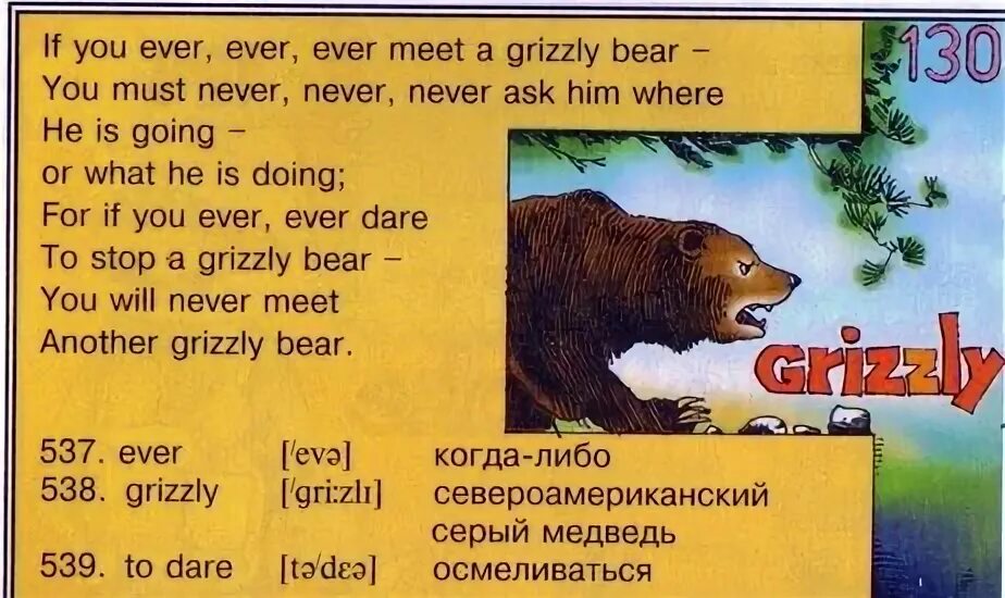 Bear транскрипция английский. Стих Grizzly Bear. If you ever ever ever meet a Grizzly Bear. Стихи про Гризли. Скороговорка на английском про медведя Гризли.