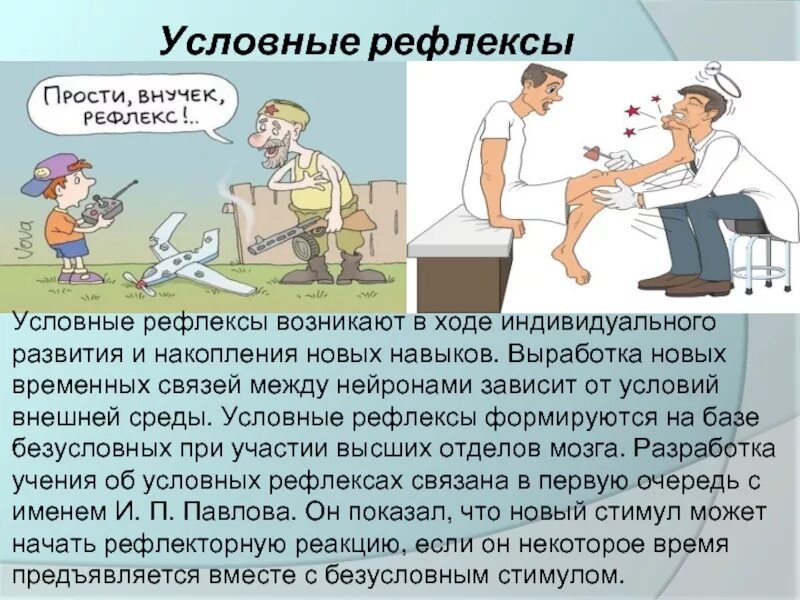 Условные рефлексы у человека. Примеры условных рефлексов у человека. Рефлексы презентация. Условные рефлексы примеры.