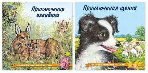 Приключения олененка