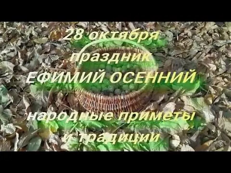 Народные приметы на 28 сентября. Народные приметы на 28 сентября