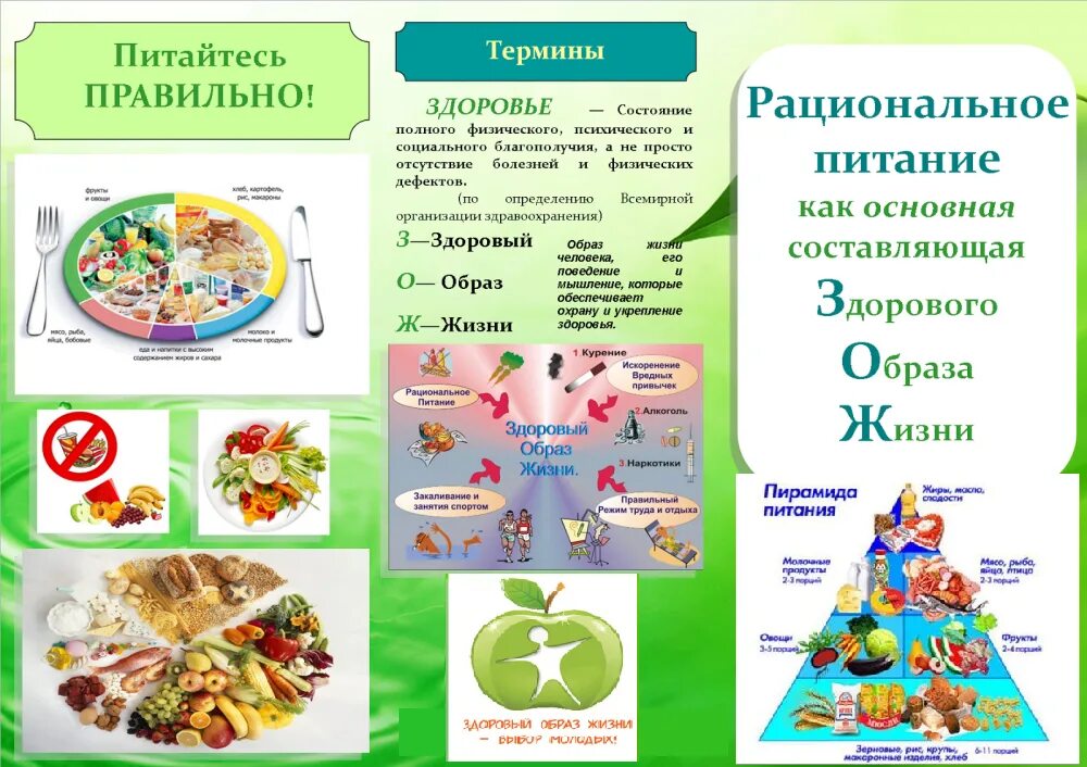 Общая информация о ребенке основы здорового. Буклет здоровое питание. Здоровое рациональное питание. Буклет по здоровому питанию. Памятка по здоровому питанию.