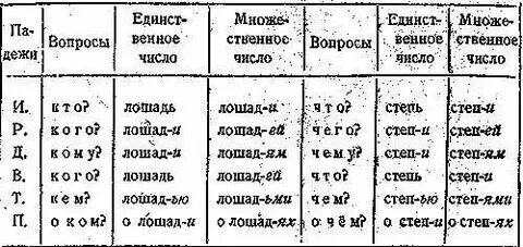 Род существительных какао. Последовательное подчинение. Колибри род существительного род. Кони род существительного. Род имен существительных.