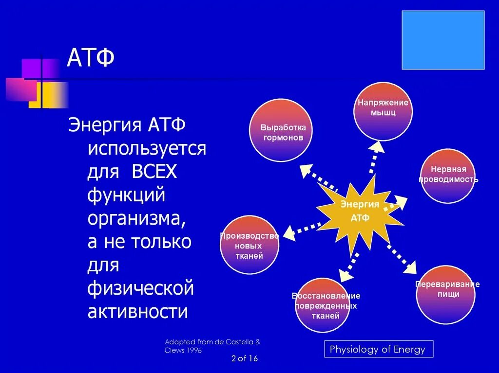 Атф составляет. Функции АТФ В организме. АТФ универсальный источник энергии. Энергия АТФ используется. Образование энергии АТФ.