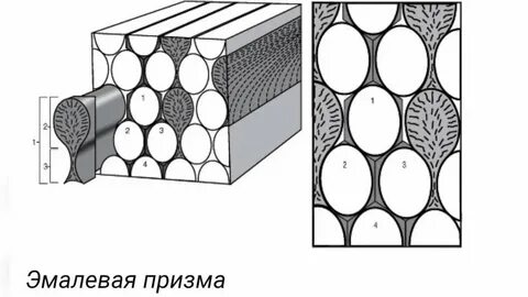Эмаль схема