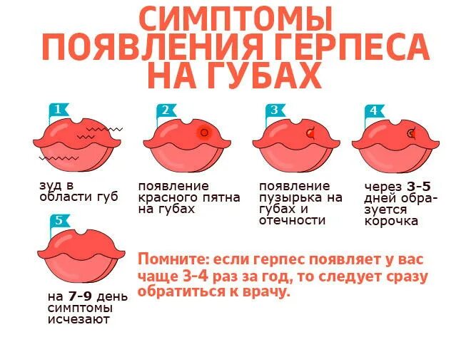 Как вылечить герпес у взрослых. Как быстро вылечить герпес на губах. герпес на губе чем лечить быстро.