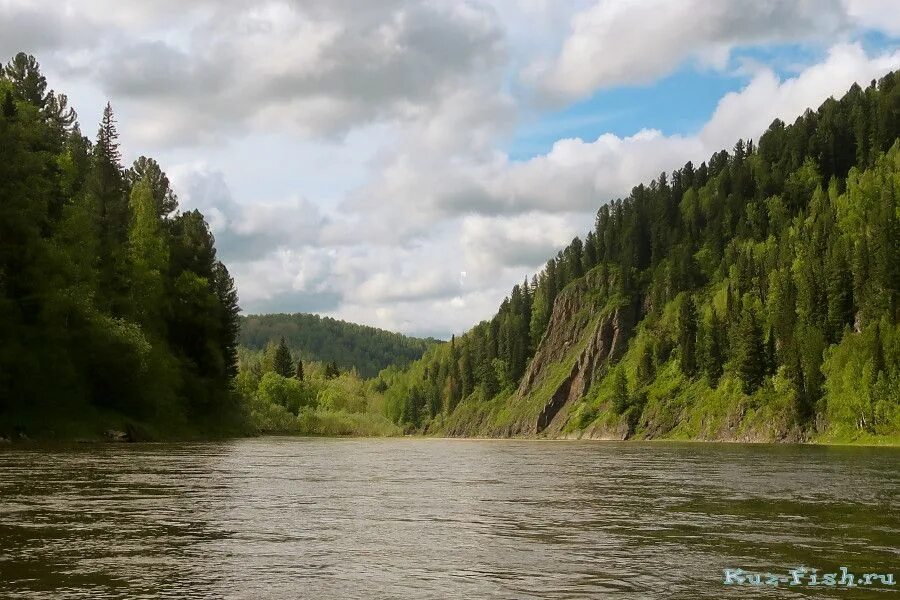 Река кия хабаровский край. Реки кузбасса. Река кия кемеровская область. Река кия мариинск. Река кия хабаровский край.