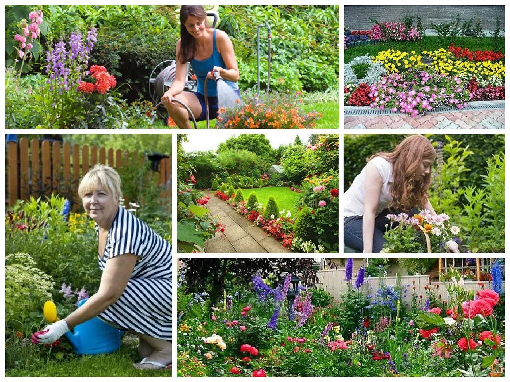 Интересные идеи для сада и огорода. Идеи для дачи сада огорода. Цветы в огороде. Цветы в огороде и на даче.