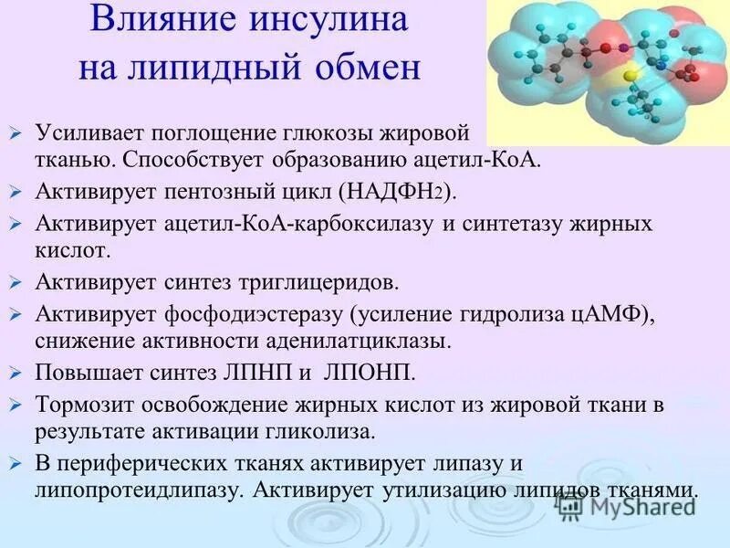 Инсулин усиливает. Влияние инсулина на обмен липидов. Влияние инсулина на липидный обмен. Влияние инсулина на липиды. Механизм влияния инсулина на обмен липидов.