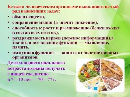 Роль белка для человека