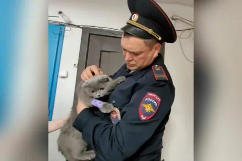 Сотрудник полиции спас