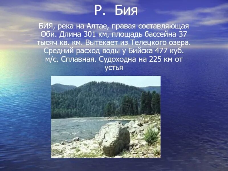 Направление реки бия. Река Бия. Сообщение о реке Бия. Площадь бассейна реки Бия. Начало реки Бия.