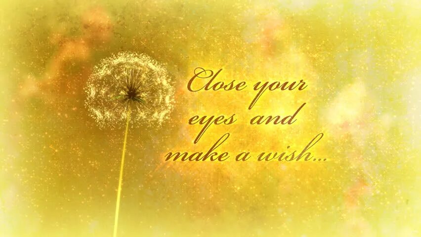 I wish all your dreams come true. Make your wishes come true. a dream wish come true. wish you all your dreams come true. let your wishes come true.