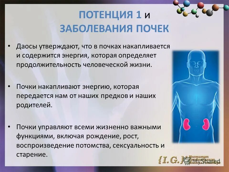 Можно ли простудить почки и какие симптомы. Можно ли простудить почки и какие симптомы