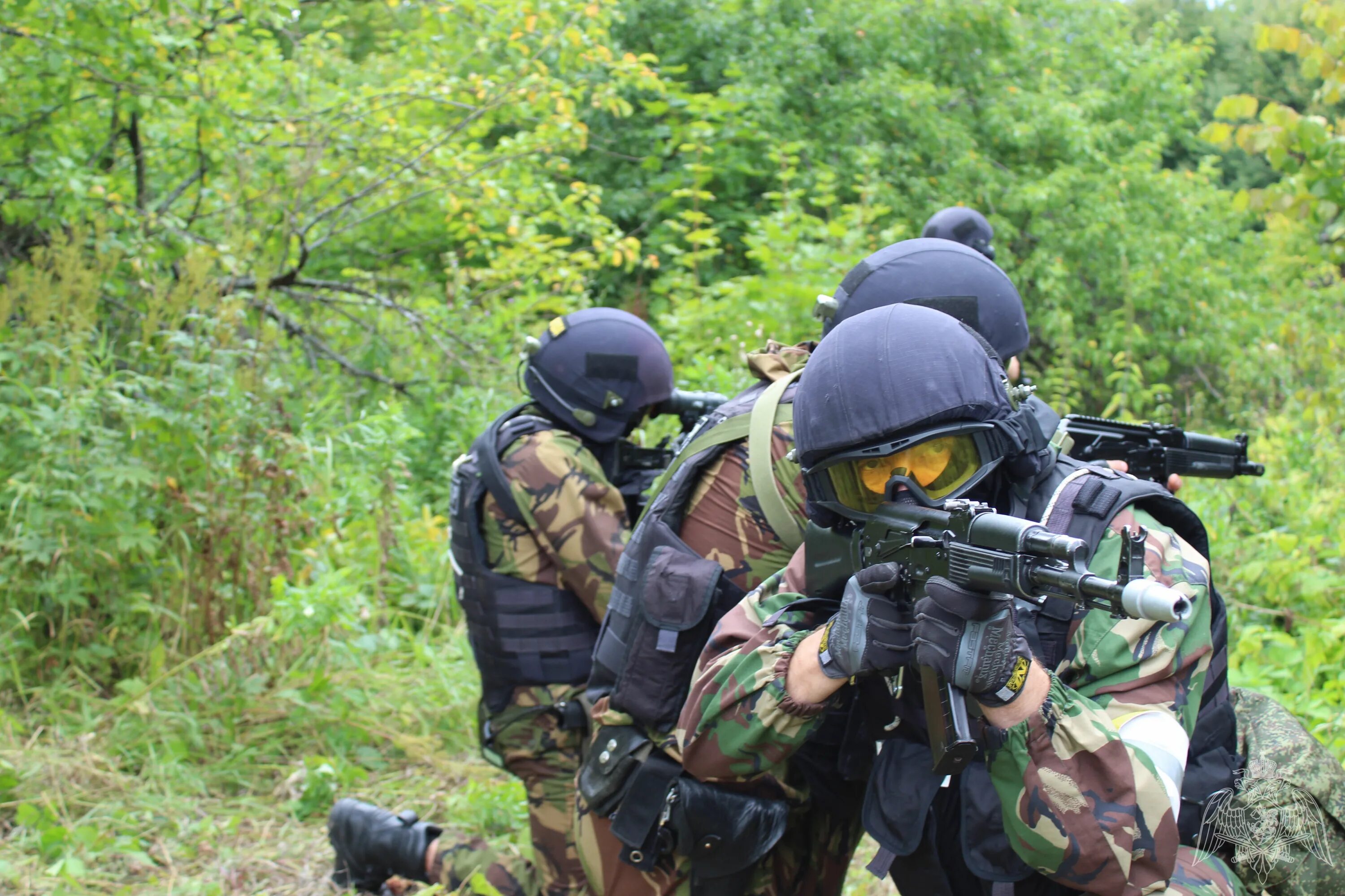 Собр 1 8. Сотрудник собр. Собр 1 8. Собр 1 сезон 1 серия. Собр росгвардия.