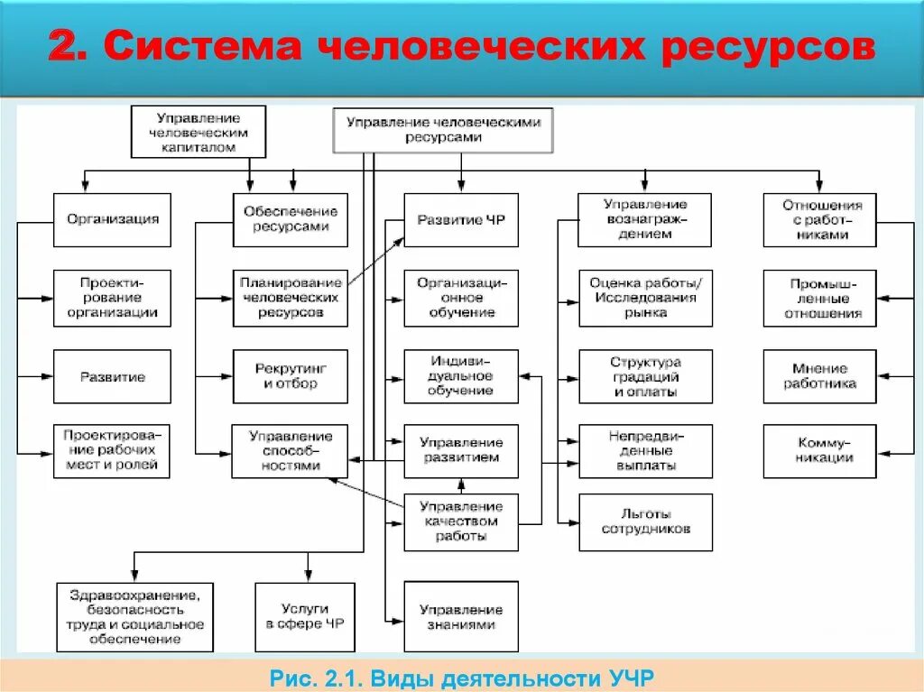 Ресурсные организации это. Структура управления человеческими ресурсами в организациях. Система управления человеческими ресурсами схема. Структура человеческих ресурсов организации. Модель управления человеческими ресурсами схема.