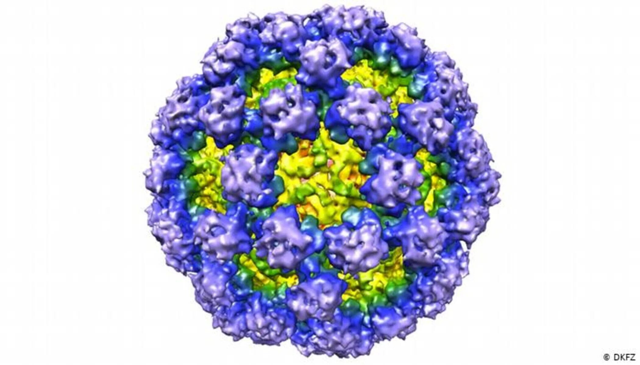 Норовирус аденовирус. Вирус Норуолк. Норовирус фото. Норовирус второго типа.