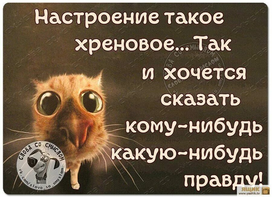 Скажите кто делал что нибудь. Статусы про плохое настроение. Высказывания о плохом настроении. Цитаты про плохое настроение. Картинка статус про плохое настроение.