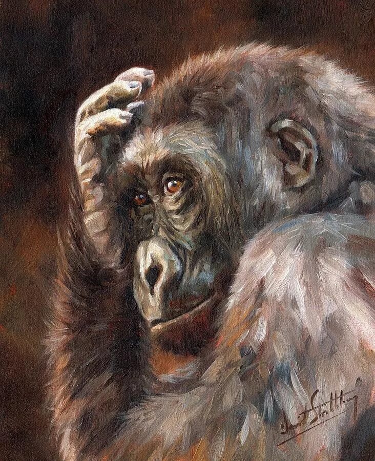 Monkey art