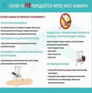 Можно ли от комара заразиться вич инфекцией