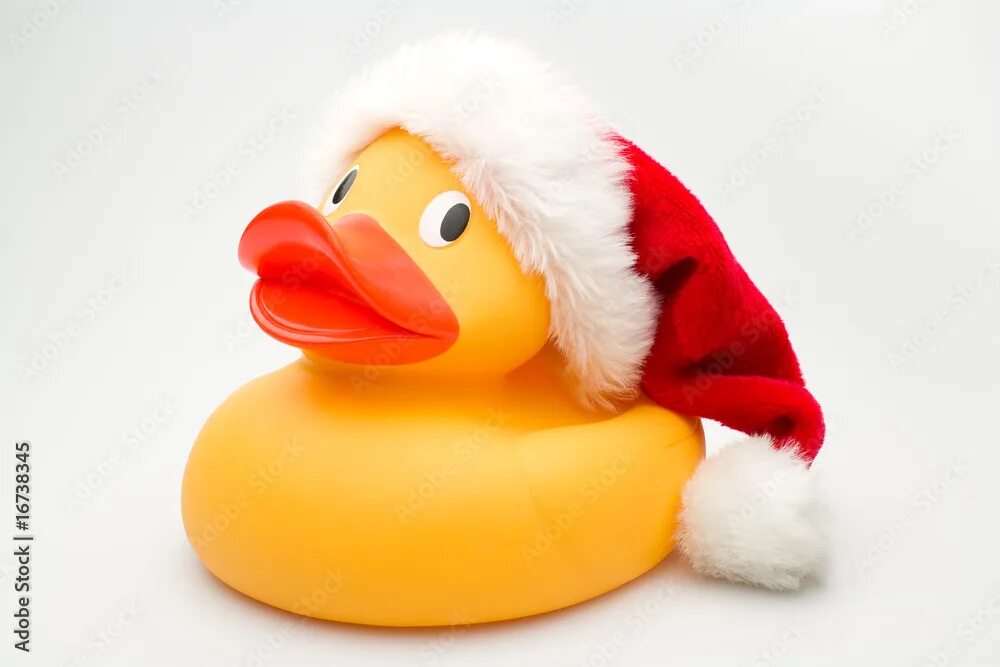 Duck up