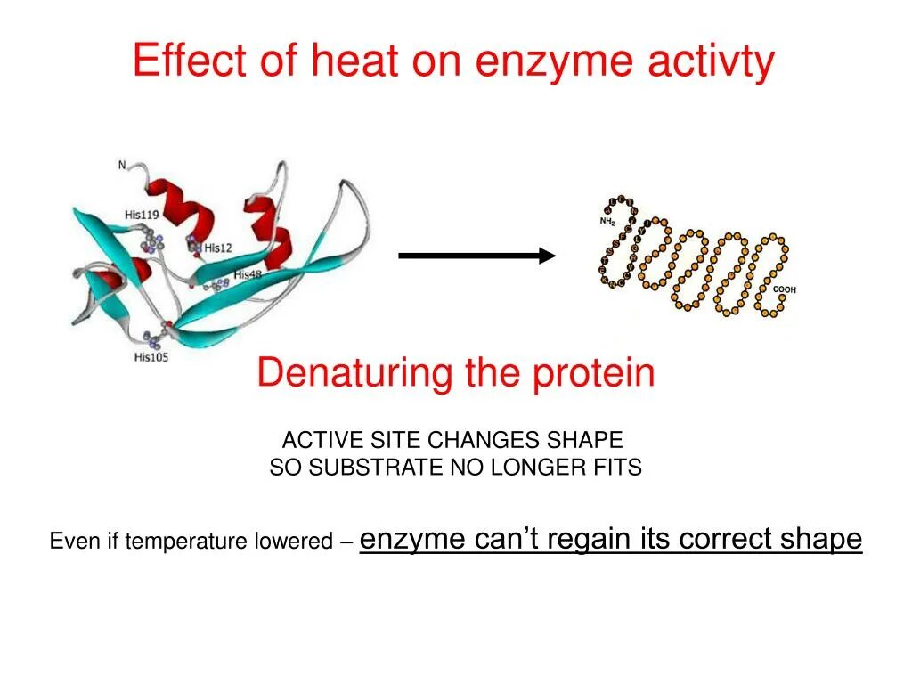 Action site. Active site. Effect оф сайт. Активный. Heating Effect.