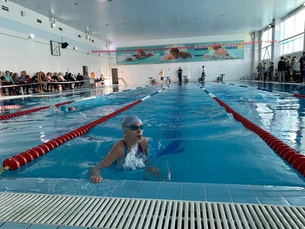 Бассейн олимп в ивангороде. Олимп ивантеевка плавание. Олимп ивантеевка плавание. Семейный бассейн ивантеевка. Бассейн олимп ивантеевка.