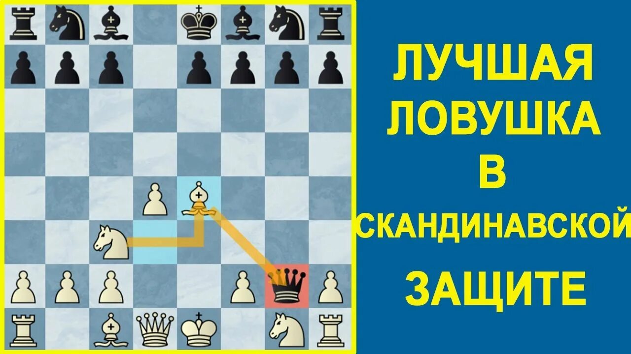 Скандинавская защита за черных. Скандинавская защита в шахматах. Скандинавия защита шахматы. Скандинавская защита дебют.