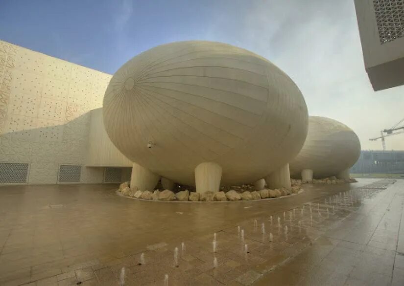 Катар это в медицине. Колледж Weill Cornell Medical College. Weill Cornell Medical College in Qatar. Филиал медицинского колледжа Доха Катар. Медицинский колледж Вейль в Катаре.