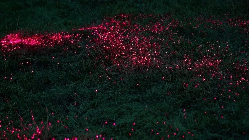 комната с розовой подсветкой. малайзия ферма светлячков. светящийся шар. мальдивы остров ваадху море. эффект прожектора.