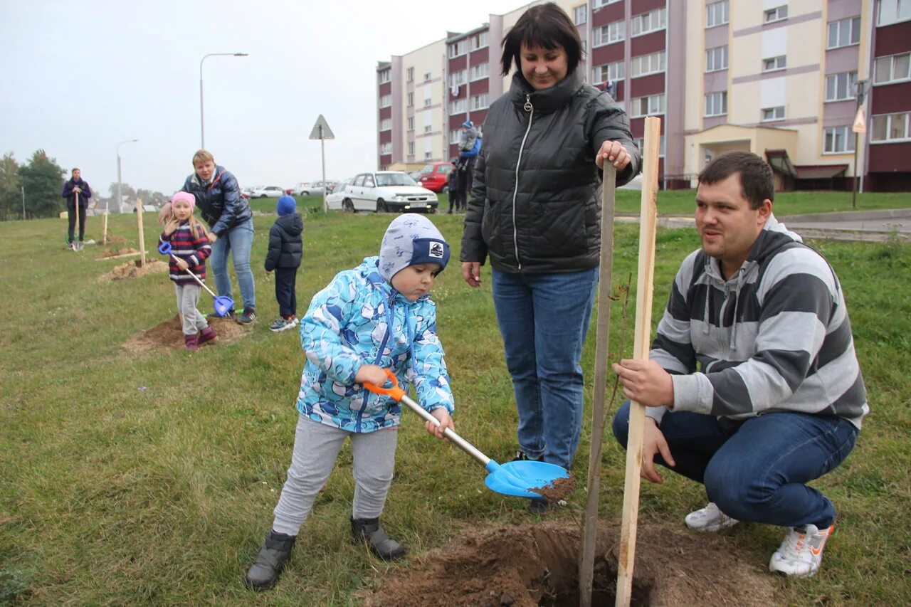 Погода в чечерске. Погода в чечерске. Аллея семейного счастья. Ратуша чечерск. Чечерск гомель.