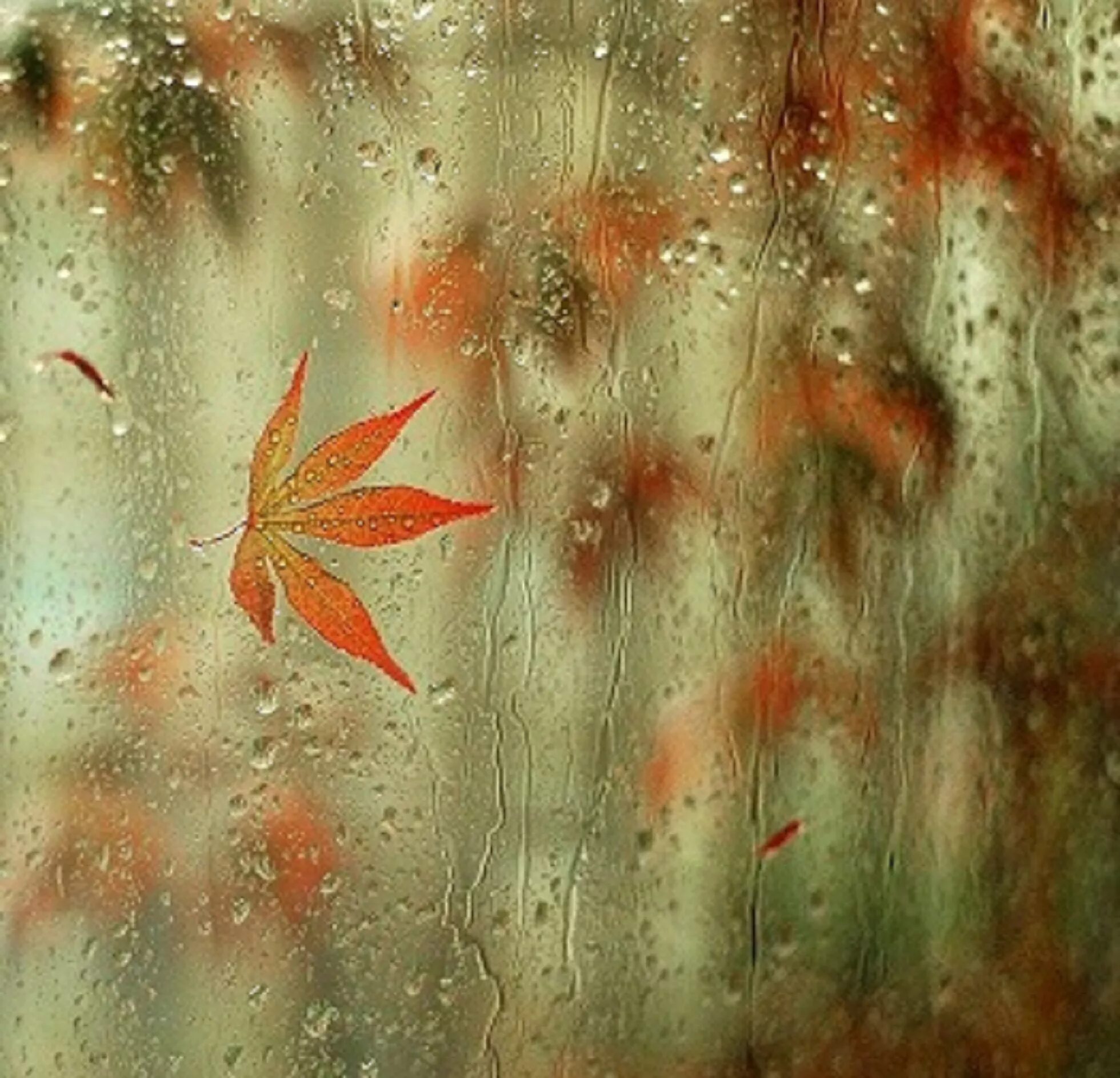 Осенний дождь. Осень дождь. Осенний лист на стекле. Дождь на листьях. Осенняя музыка дождя