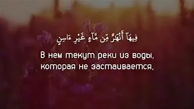 Сура 47 аят