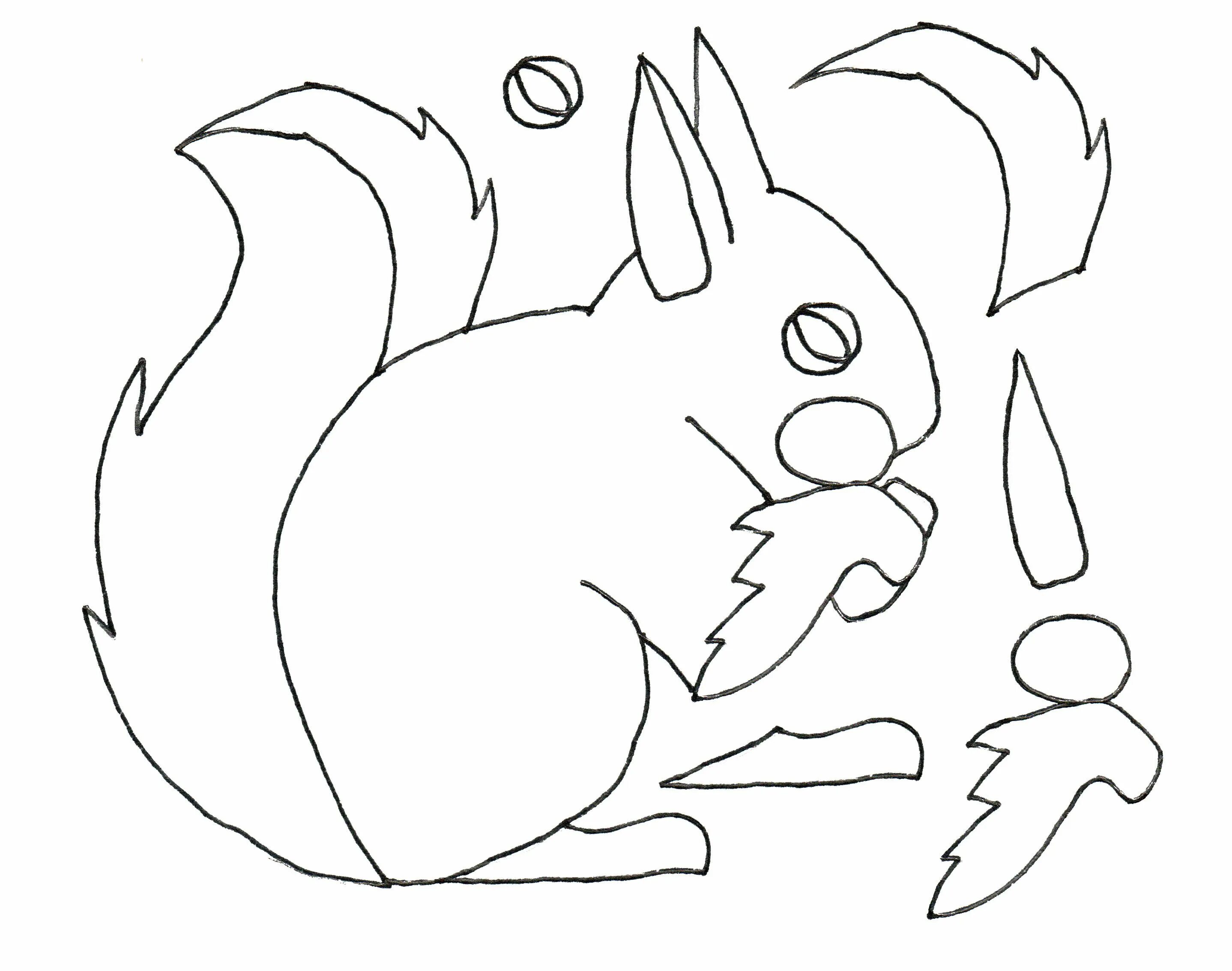 трафарет белки для аппликации. аппликация белка. шаблоны белок для аппликации. белочка раскраска для малышей. шаблоны белок для аппликации.