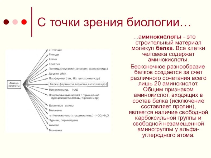 В чем заключается биология человека. Человек с точки зрения биологии. Коммуникация с точки зрения биологии. Информация с точки зрения биологии. Любовь с точки зрения биологии.