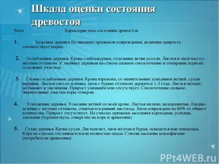 Категории состояния деревьев