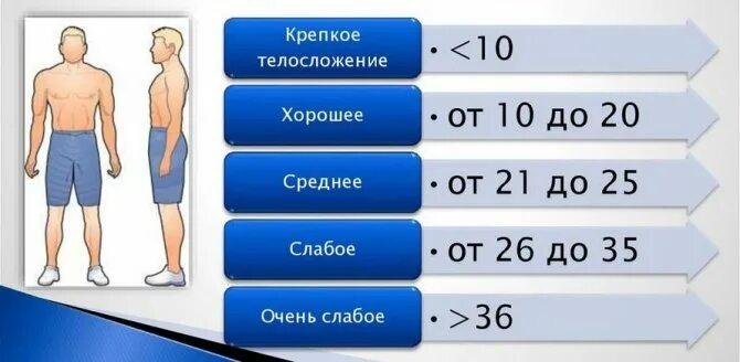 Показатель крепости телосложения (Пинье). Тип телосложения по индексу Пинье. Индекс Пинье. Показатель крепости телосложения индекс Пинье. Калькулятор типа телосложения