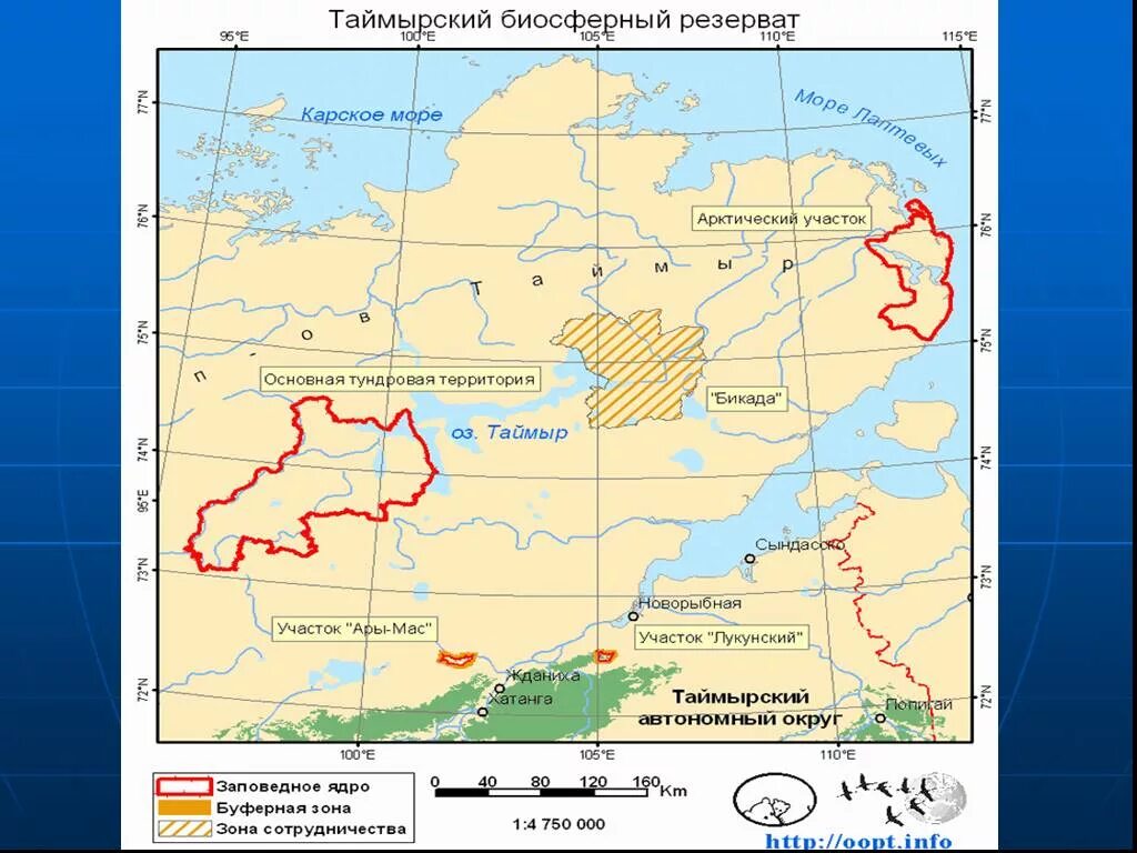 Где находятся таймырские острова Э.В. Толль. Часть II