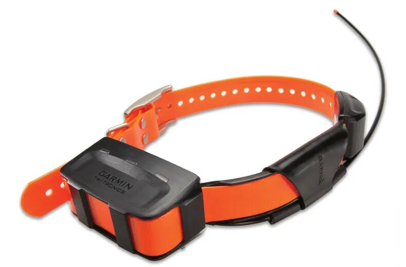 Лучшие gps ошейники. Ошейник garmin t5 mini. ошейник garmin t5. gps-ошейник ошейник garmin t5. garmin alpha 100 с ошейником tt15.