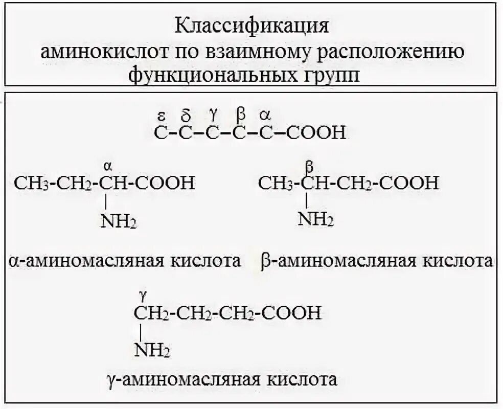 Какие функциональные группы аминокислот. Ациклические (алифатические) аминокислоты. Классификация аминокислот по функциональным группам. Электрохимическая классификация аминокислот. Классификация аминокислот по расположению аминогруппы.