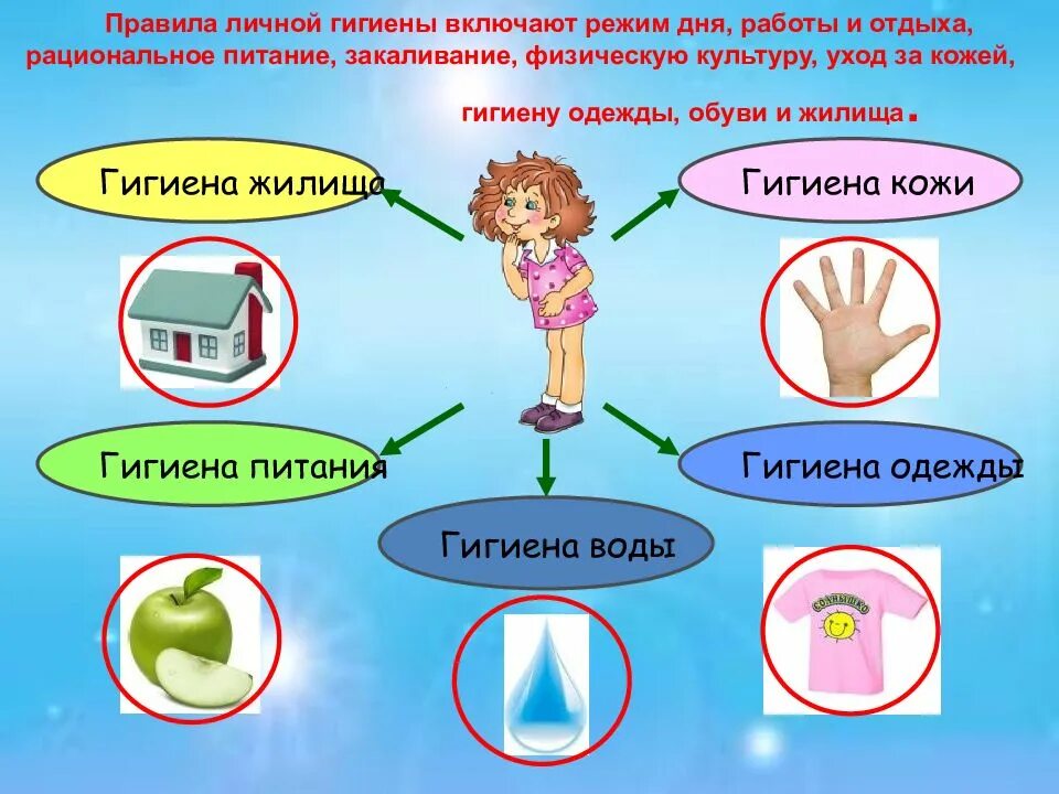 Включи основа